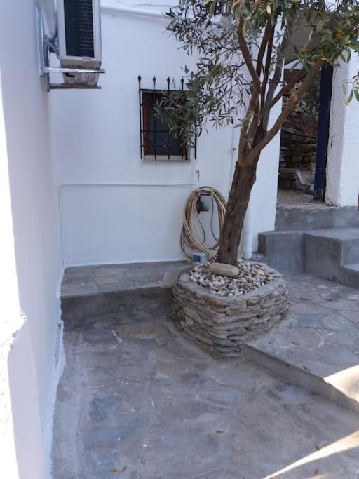 Grandpa Simos' Traditional Guest House Agios Romanos Exteriör bild