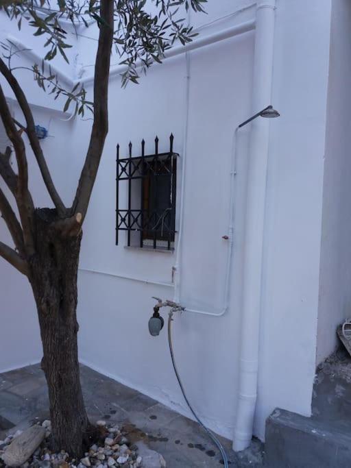 Grandpa Simos' Traditional Guest House Agios Romanos Exteriör bild