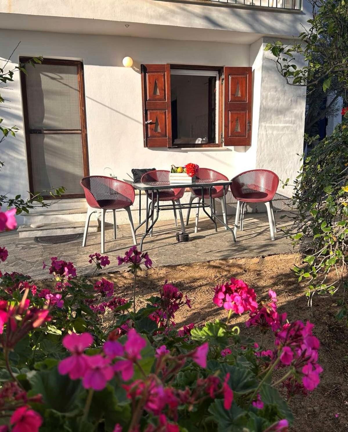 Grandpa Simos' Traditional Guest House Agios Romanos Exteriör bild