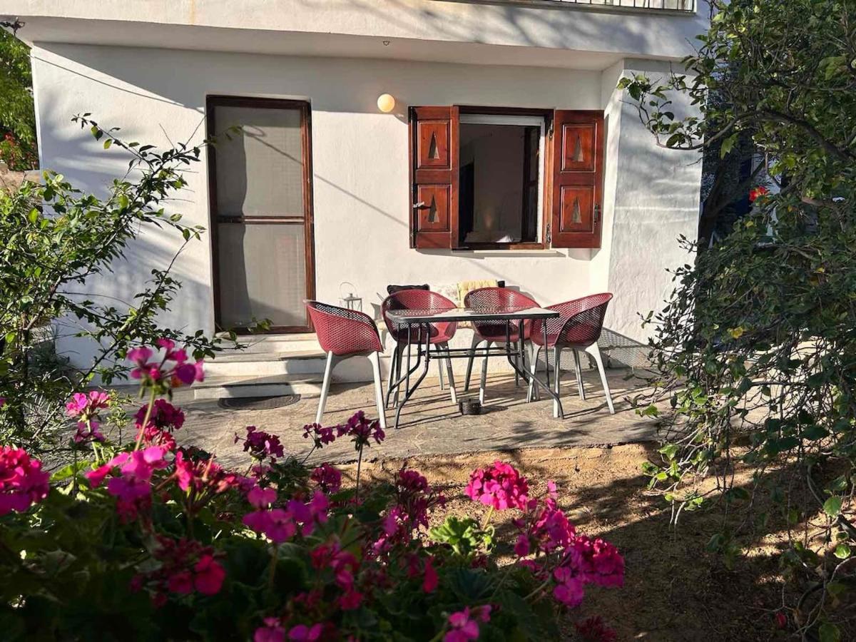 Grandpa Simos' Traditional Guest House Agios Romanos Exteriör bild