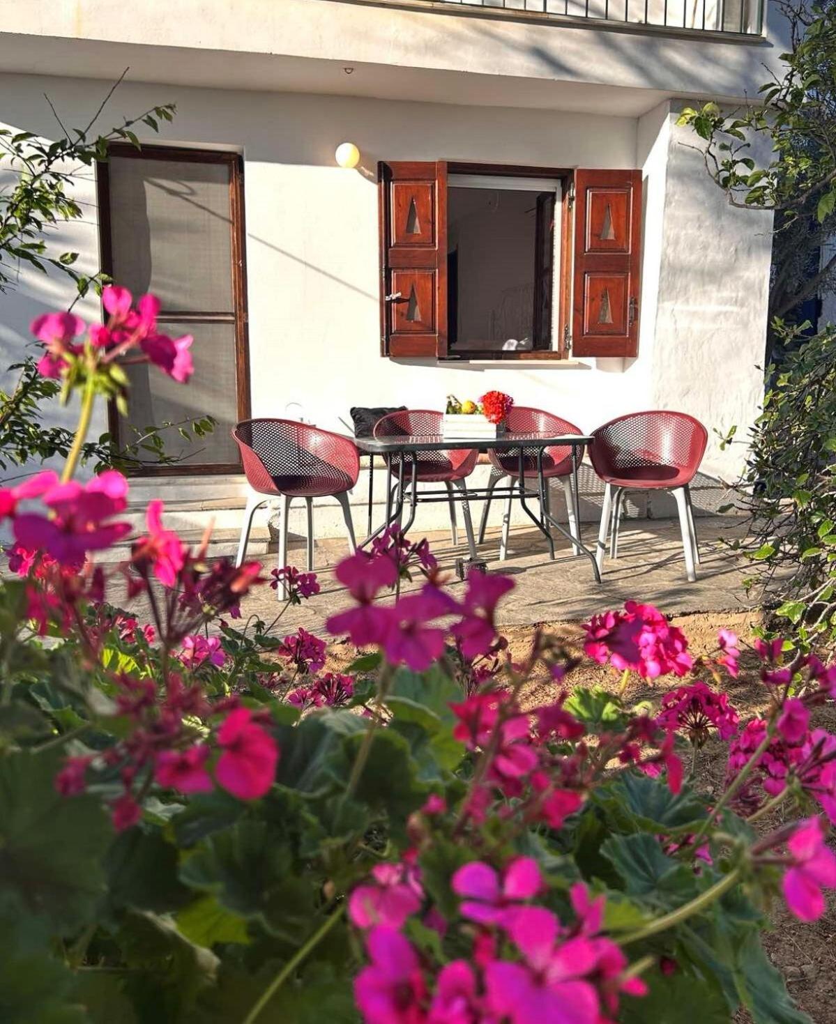 Grandpa Simos' Traditional Guest House Agios Romanos Exteriör bild