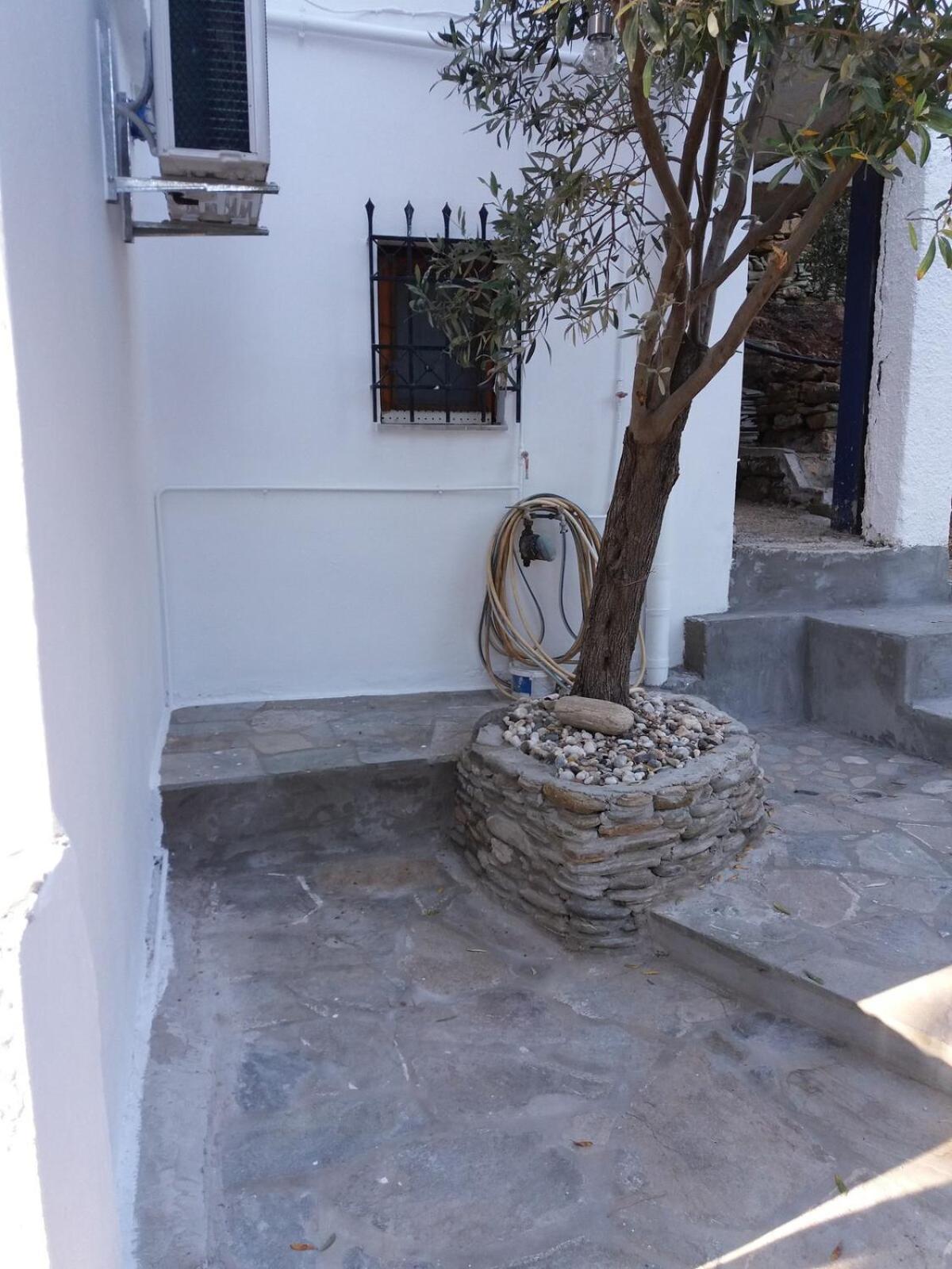 Grandpa Simos' Traditional Guest House Agios Romanos Exteriör bild